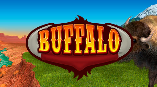 Bingo Buffalo